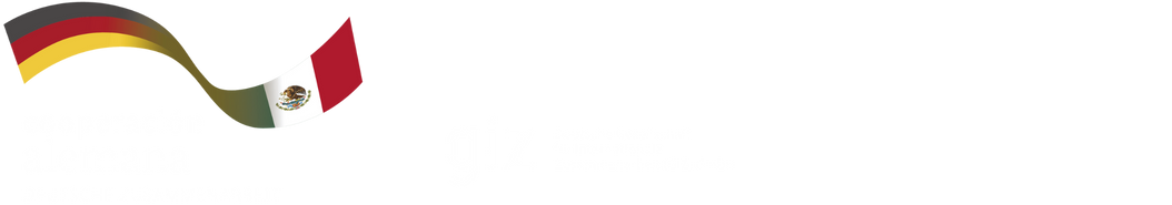 Logos de organizadores: Cooperación Alemana, GIZ y Secretaría de Economía