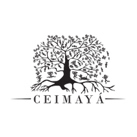 Logo MiPyME 4