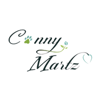 Logo MiPyME 5