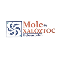 Logo MiPyME 9