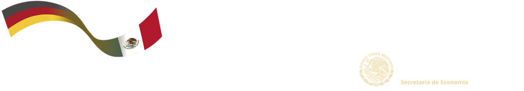 Logos organizadores: Cooperación Alemana, GIZ y Secretaría de Economía