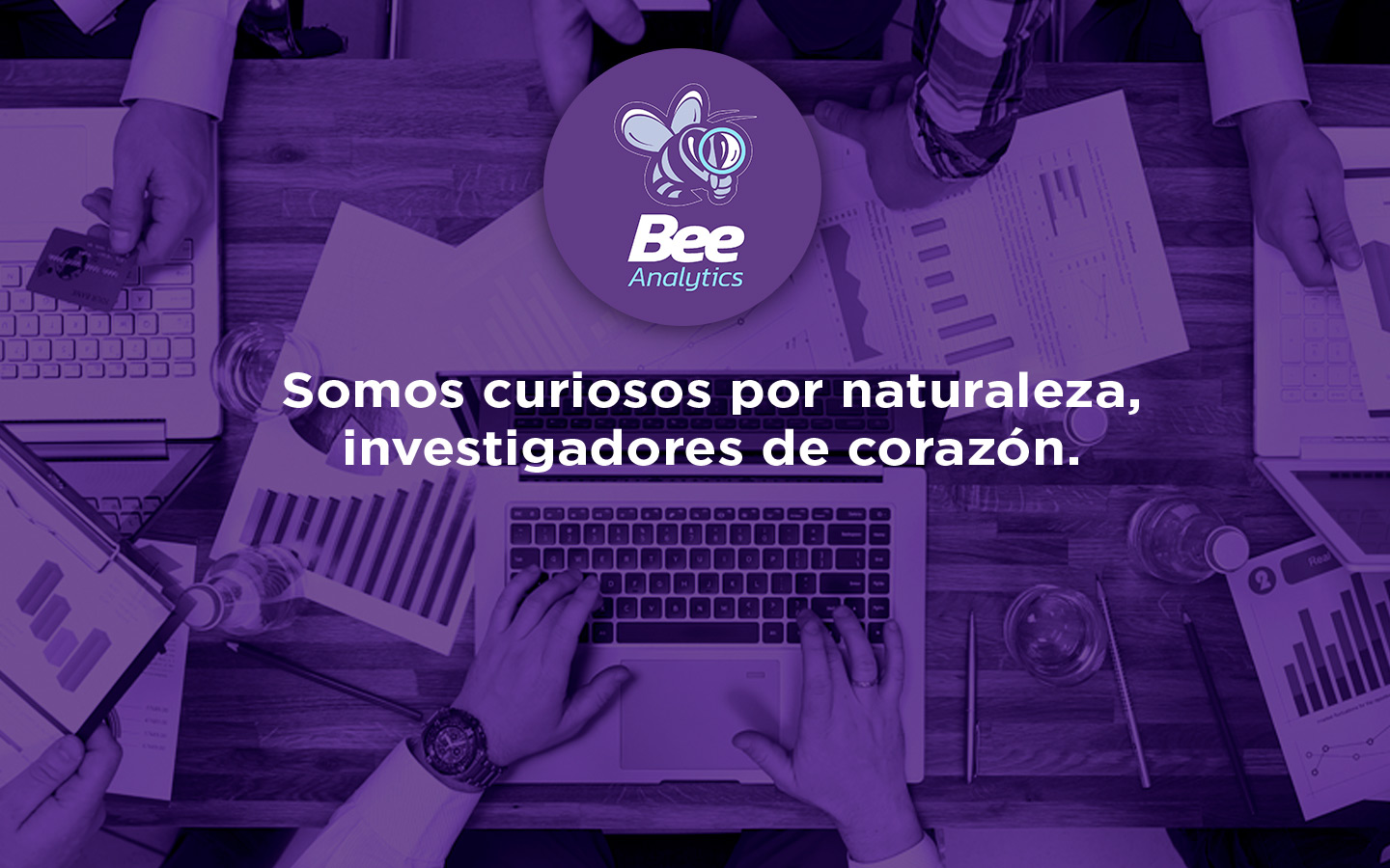Logo de Bee Analytics